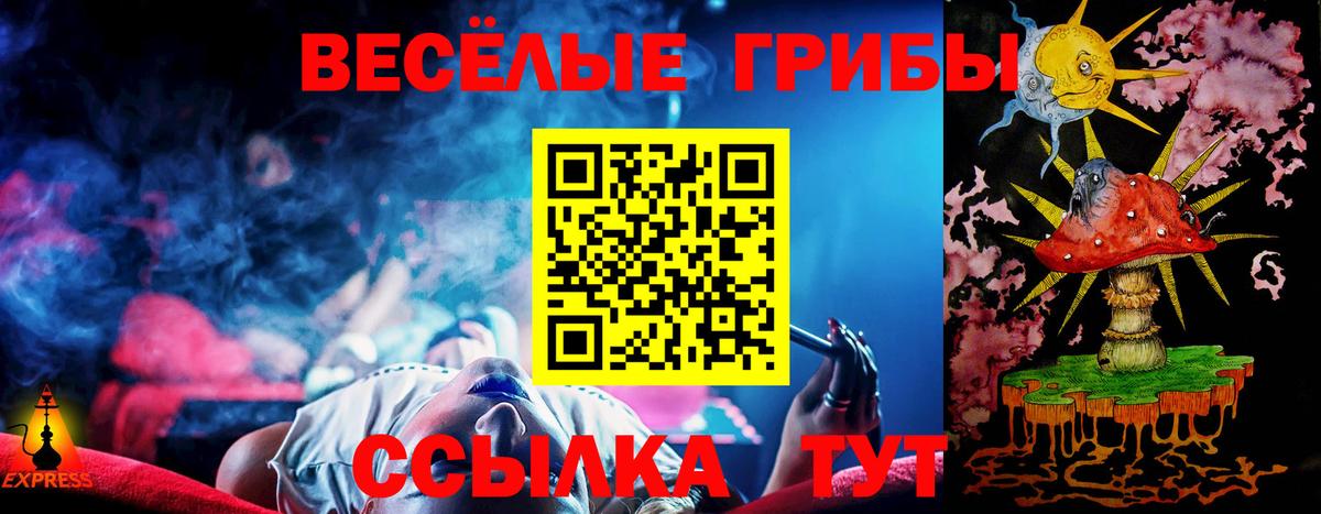 Псилоцибиновые грибы Psilocybine cubensis Бахчисарай