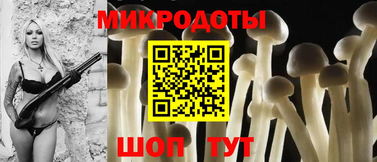 дарнет шоп  Псилоцибиновые грибы GOLDEN TEACHER  Бахчисарай  Вход с VPN  Псилоцибиновые грибы мицелий 